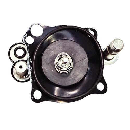 Repair kit - for 1" RO Solenoid #64035 (C)