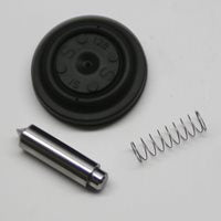 Repair Kit - for Dema Valve 3/8" SS. Diaphragm (#P21000015, #61912) 464 & 463 Dema's